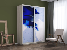 Шкафы-купе, Шкаф-купе Экспресс 1010, 120х45х240