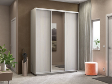 Шкафы-купе 3-х дверные, Шкаф-купе Экспресс Медиум (1 зеркало) трио 2200 x 1800 x 450