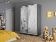 Шкафы-купе 2-х дверные, Шкаф-купе Экспресс 2-х дверный Фотопечать Шелк Стекла 120х60х240