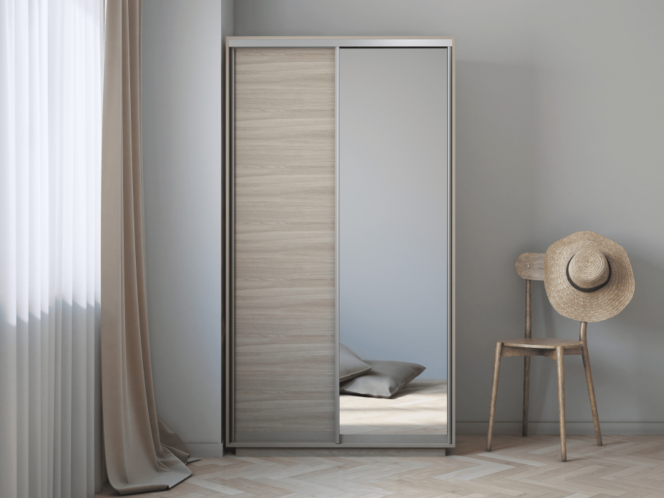 Шкафы-купе 2-х дверные, Шкаф-купе Экспресс Хит 2х дверный ДСП/Зеркало 120х60х220