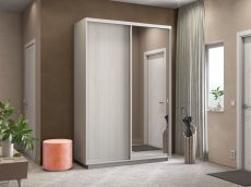 Шкафы-купе, Шкаф-купе Экспресс Медиум дуо 2200 x 1600 x 600