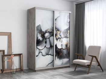 Шкаф-купе Экспресс 1001, 120х45х220