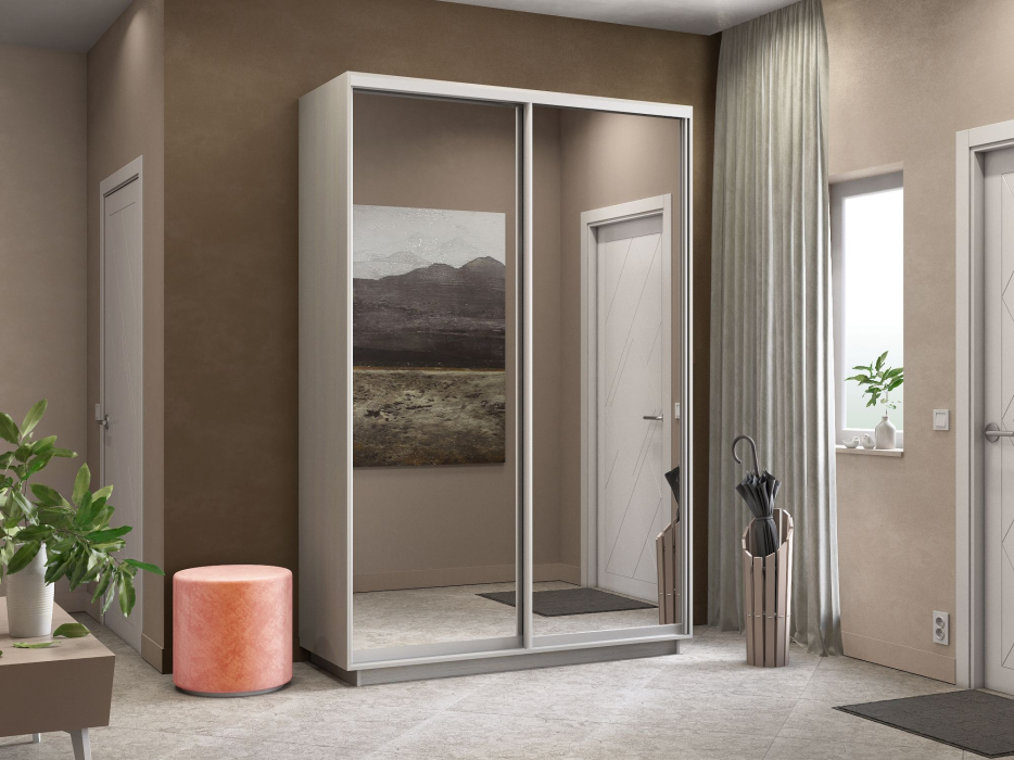 Шкафы-купе 2-х дверные, Шкаф-купе Экспресс Экспенс дуо 2400 x 1600 x 450