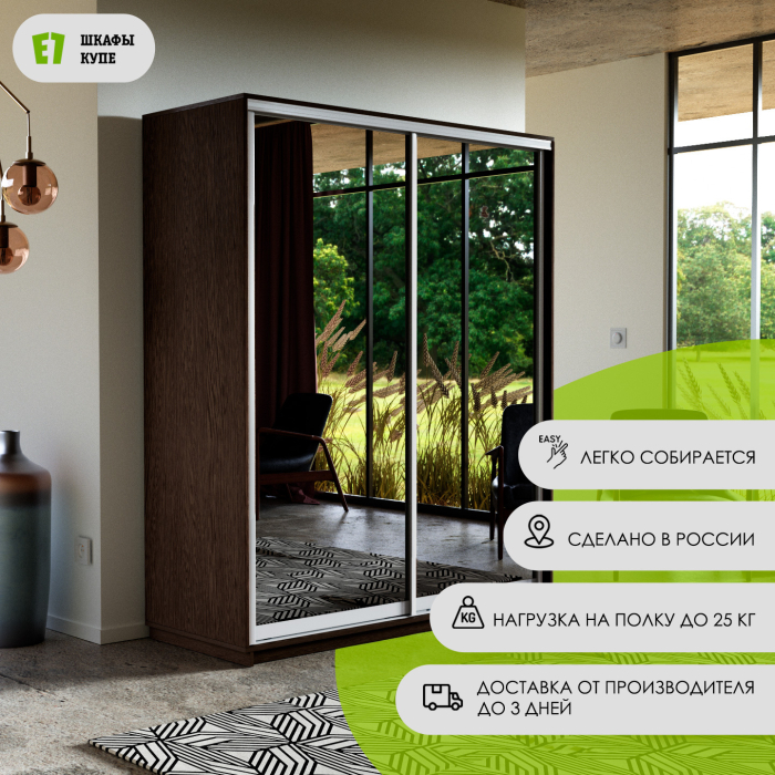 Шкафы-купе, Шкаф-купе Экспресс Экспенс дуо 2200 x 1400 x 600