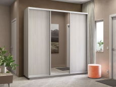 Шкафы-купе, Шкаф-купе Экспресс Медиум (1 зеркало) трио 2200 x 2400 x 600