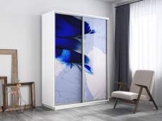 Шкафы-купе, Шкаф-купе Экспресс 1010, 160х60х220