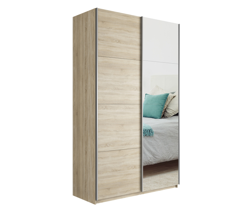 Шкафы-купе 2-х дверные, Шкаф Прайм дуо ДСП+зеркало 2300 х 1600 х 570