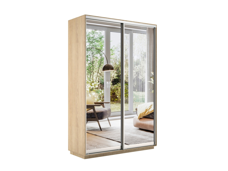 Шкафы-купе 2-х дверные, Шкаф-купе Экспресс Экспенс дуо 2400 x 1200 x 450