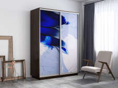 Шкафы-купе, Шкаф-купе Экспресс 1010, 120х45х220