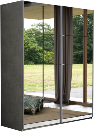 Шкаф-купе Эста Зеркало+Зеркало 200х66х240