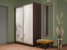 Шкафы-купе 2-х дверные, Шкаф-купе Экспресс 2-х дверный Фотопечать Шелк Стекла 120х60х220
