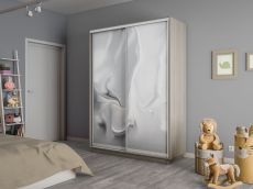 Шкафы-купе 2-х дверные, Шкаф-купе Экспресс 2-х дверный Фотопечать Шелк Стекла 120х45х240