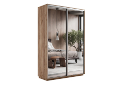 Шкафы-купе 2-х дверные, Шкаф-купе Экспресс Экспенс дуо 2200 x 1400 x 450