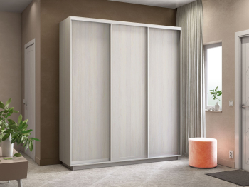 Шкаф-купе Экспресс Элемент трио 2200 x 2100 x 600