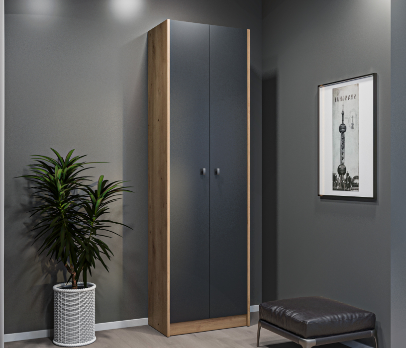 Шкафы распашные, Шкаф 2 дверный Сидней СБ-2588 Дуб дикий/Диамант серый