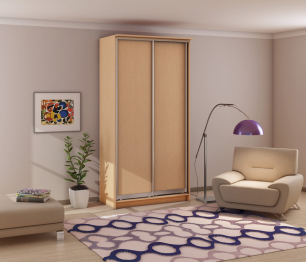 Байкал СБ-1103 Шкаф-купе 2-х дверный в сборе Бук/Золото